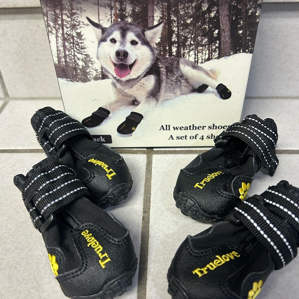 Truelove Black Dog Shoes